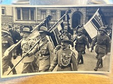 Foto kettenhund ringkragen gebraucht kaufen  Mannheim