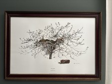 Andrew wyeth picking for sale  Fishers