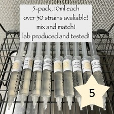 Mushroom liquid culture for sale  Hinsdale