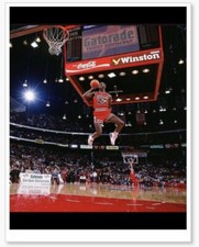 Chicago bulls unc for sale  Louisville
