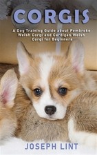 Corgis dog training for sale  DERBY