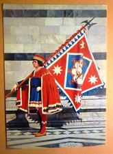 SIENA PALIO - PAGGIO MAGGIORE - CONTRADA PANTERA comprar usado  Enviando para Brazil