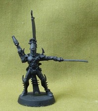 Sybarite warrior drukhari for sale  HULL