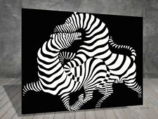 Zebra animal canvas for sale  LONDON