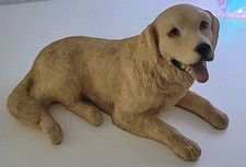 Leonardo golden retriever for sale  BIRMINGHAM
