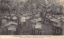 Guadeloupe aprucher matouba d'occasion  Expédié en Belgium