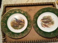 Vintage bird wall for sale  GLASGOW