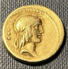 Moeda romana C Calpurnius Piso Frugi Denarius XF estado prateleira superior exemplo! comprar usado Moeda romana C Calpurnius Piso Frugi Denarius XF estado prateleira superior exemplo! comprar usado  Enviando para Brazil