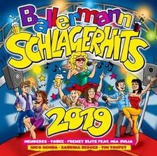 Various ballermann schlager gebraucht kaufen  Berlin
