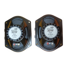 Coppia altoparlanti 30w usato  Verduno