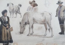 Personen studien kalb gebraucht kaufen  Deutschland