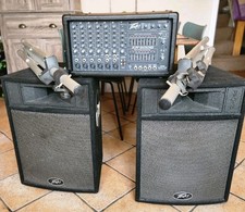 Peavey system 600g for sale  STOURBRIDGE