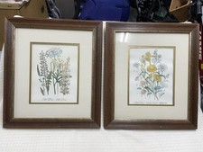 Wood framed botanical for sale  North Port