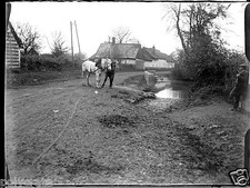 Two horses path d'occasion  Expédié en Belgium