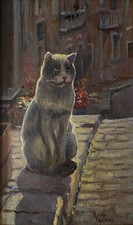 Gatto grigio vaccaro usato  Lucca