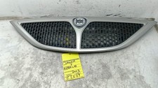 Griglia paraurti per usato Griglia paraurti per usato  Italia