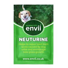 Envii neuturine dog for sale  CHESTERFIELD