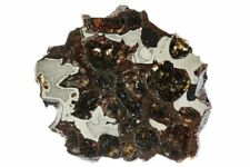 1.15 polished meteorite for sale  West Valley City