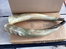 Horns cow bull for sale  Panama City