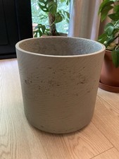 Textured clay plant for sale  WELWYN GARDEN CITY
