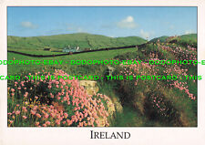 L295245 irland cottage gebraucht kaufen  Versand nach Germany