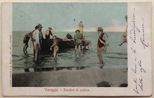Cartolina viareggio pescatori usato  Roma