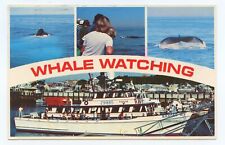 Ranger iii whale for sale  Waupun