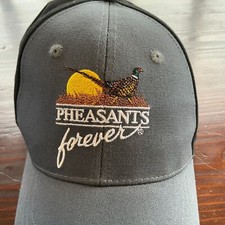 Pheasants forever class for sale  Litchfield