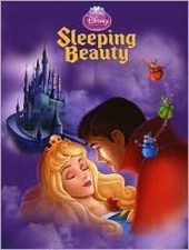 Disney princess sleeping for sale  Montgomery