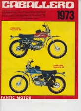 Advertising pubblicità moto usato  Solbiate Arno