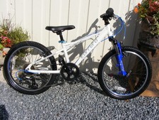 Fantastic boy girl for sale  BROUGH