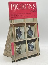 Pigeons pets tfh for sale  HULL