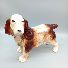 Vintage english springer for sale  MIRFIELD