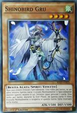Shinobird gru comune usato  Calcinaia