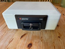 Sentry 1100 fire for sale  EDENBRIDGE