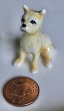1950s miniature chihuahua for sale  Hazel Park
