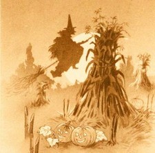 Halloween witch broom for sale  Ahsahka