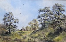 Summer path framed for sale  LISKEARD