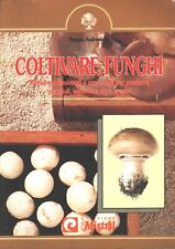 Coltivare funghi andreoletti usato  Lucera