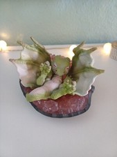 Schleich bayala babydrache gebraucht kaufen  Bad Soden