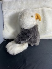 American bald eagle for sale  BIRMINGHAM