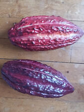 Pod Da Cacao - Theobroma Cacao na sprzedaż  Wysyłka do Poland