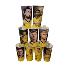Bvb stadionbecher 2012 gebraucht kaufen  Salzwedel