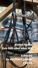 Kiefer trense gebraucht kaufen  Hohenberg-Krusemark, Goldbeck
