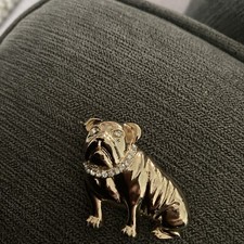 Dog brooch british for sale  TAUNTON