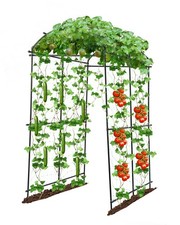 Garden arch trellis for sale  USA
