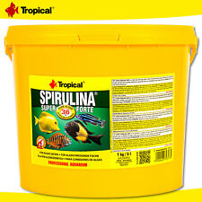 Tropical spirulina super gebraucht kaufen  Eggenfelden