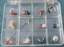 Fly fishing trout for sale  LLANDUDNO