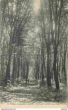 Villers cotterets foret d'occasion  Fruges