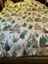 Pottery barn christmas for sale  Carlsbad